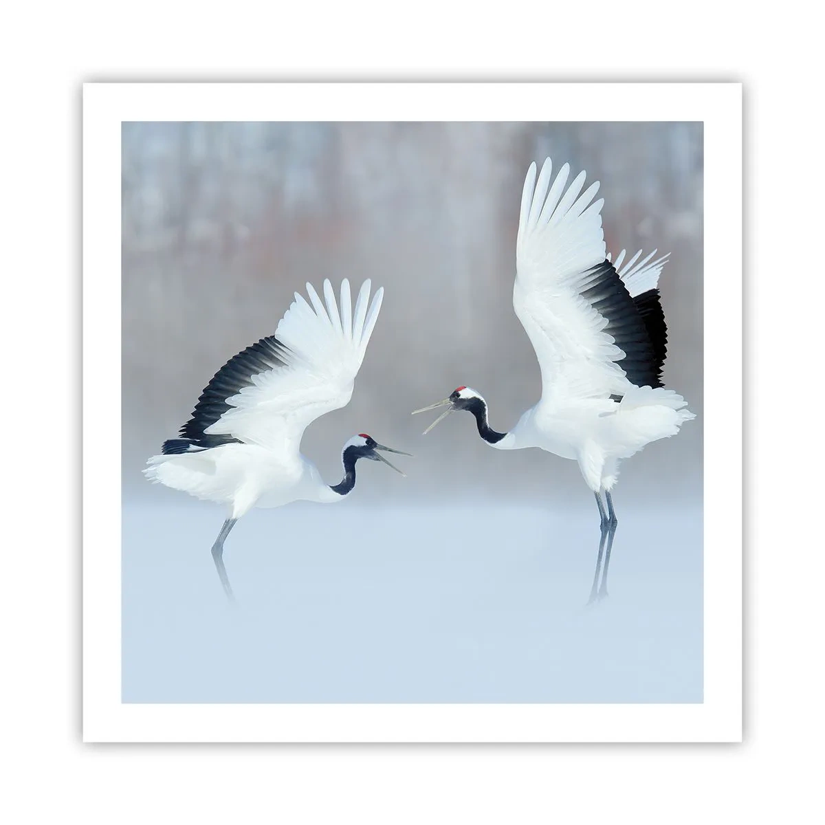 Plakát - Tanec v mlze - 60x60 cm