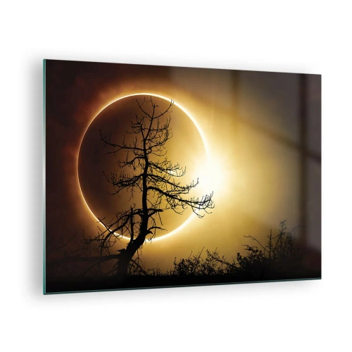 Obraz na skle - Zatmění Slunce za stromem - 70x50cm - Úplné zatmění - Moderní nástěnná dekorace do obývacího pokoje a ložnice ARTTOR