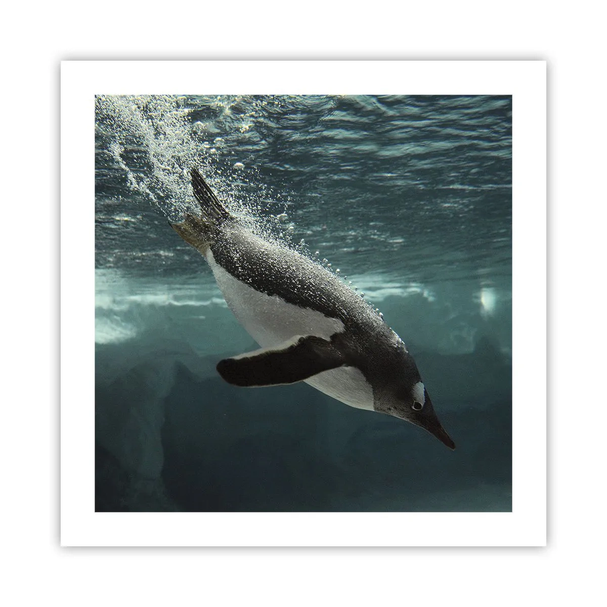 Plakát - Vítejte v mém světě - 50x50 cm