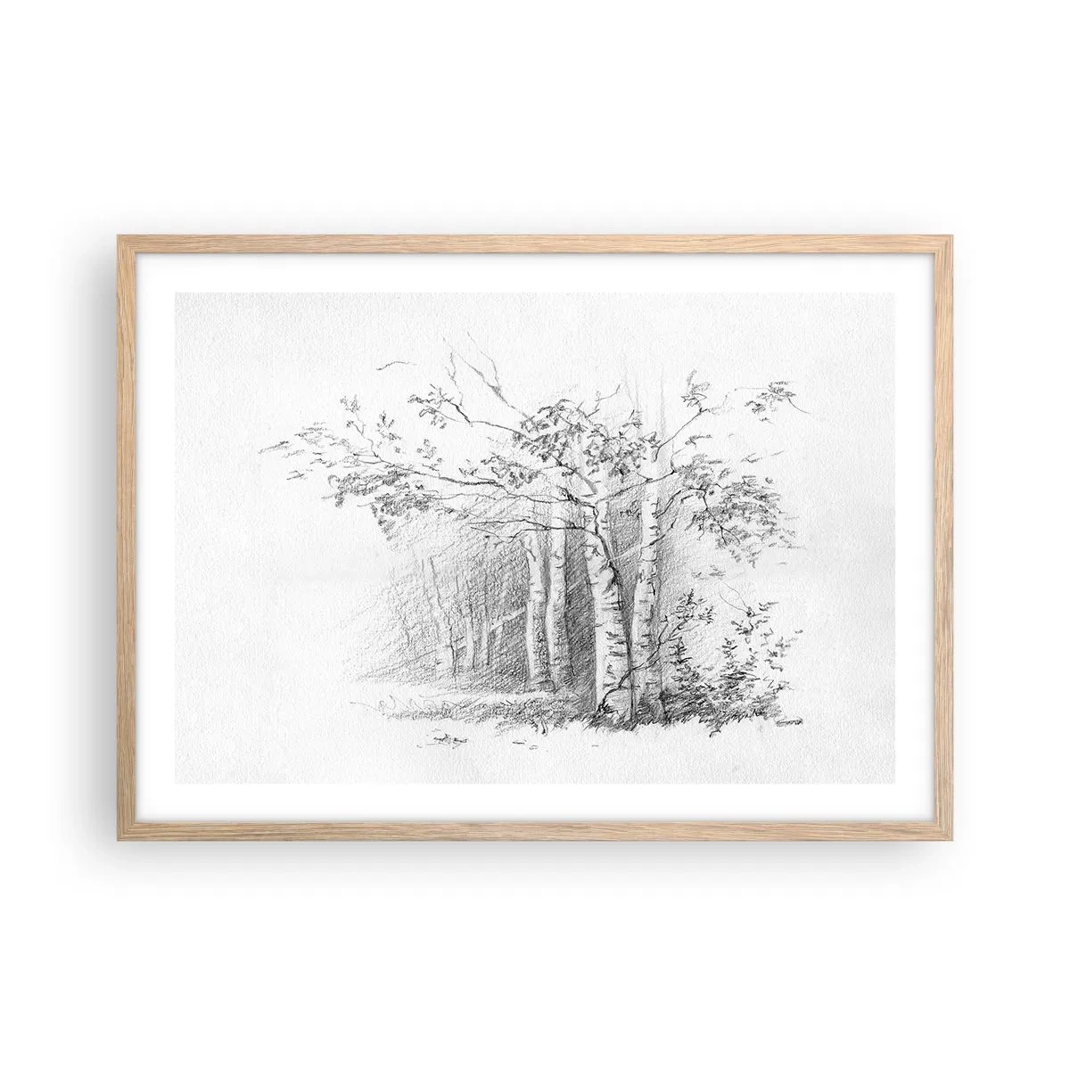 Plakát v rámu světlý dub - Světlo březového lesa - 70x50 cm