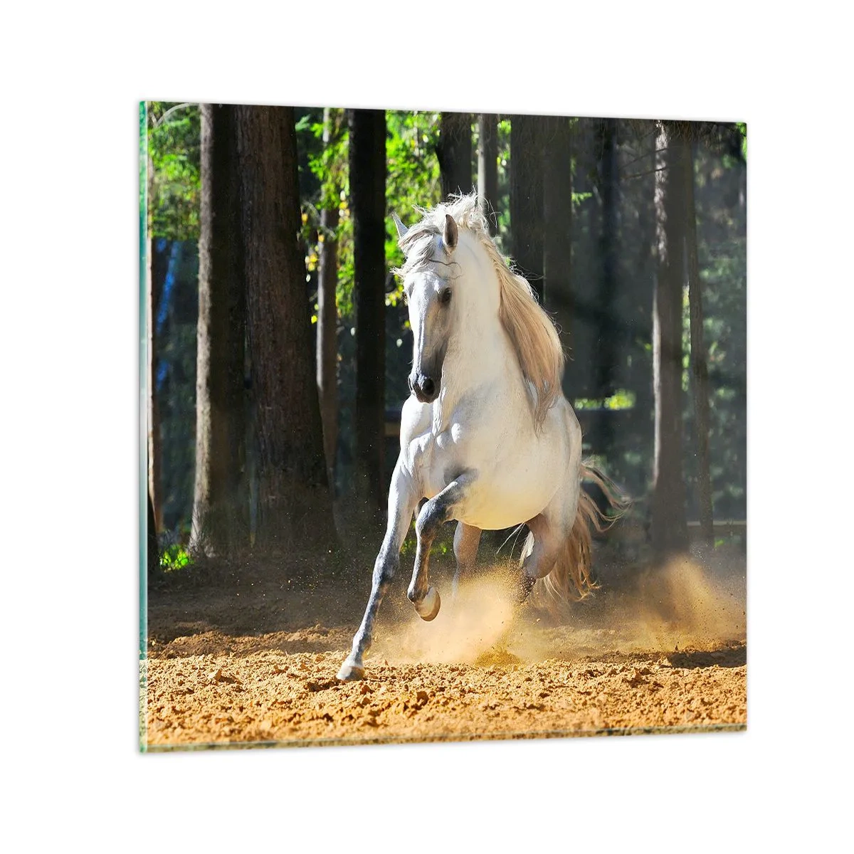 Obraz na skle - Jako z fantasy románu - 70x70 cm