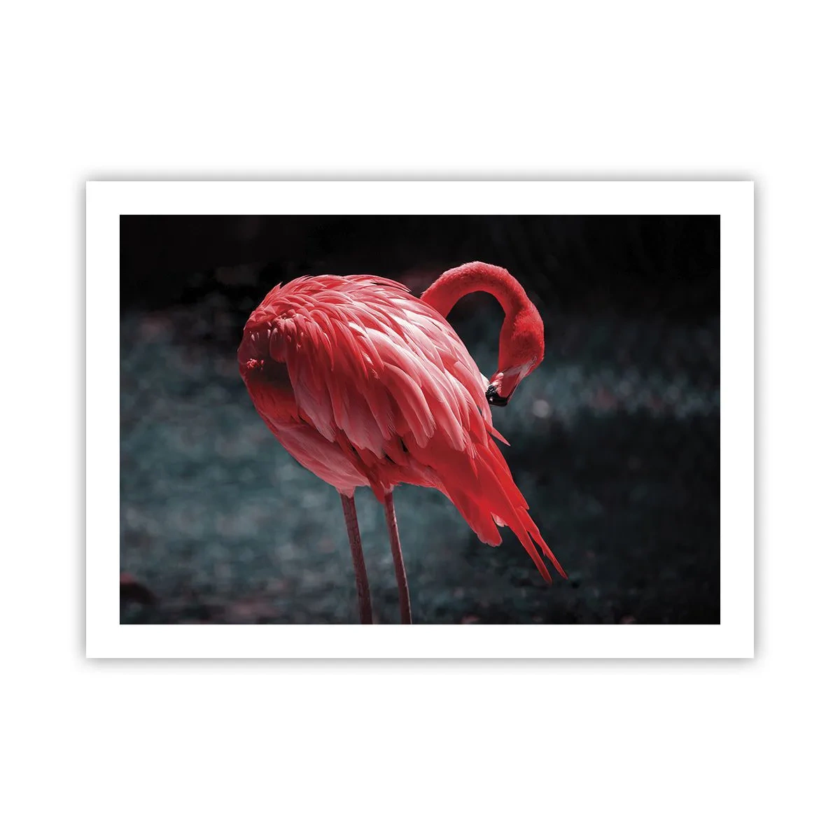 Plakát - Karmínová báseň přírody - 70x50 cm