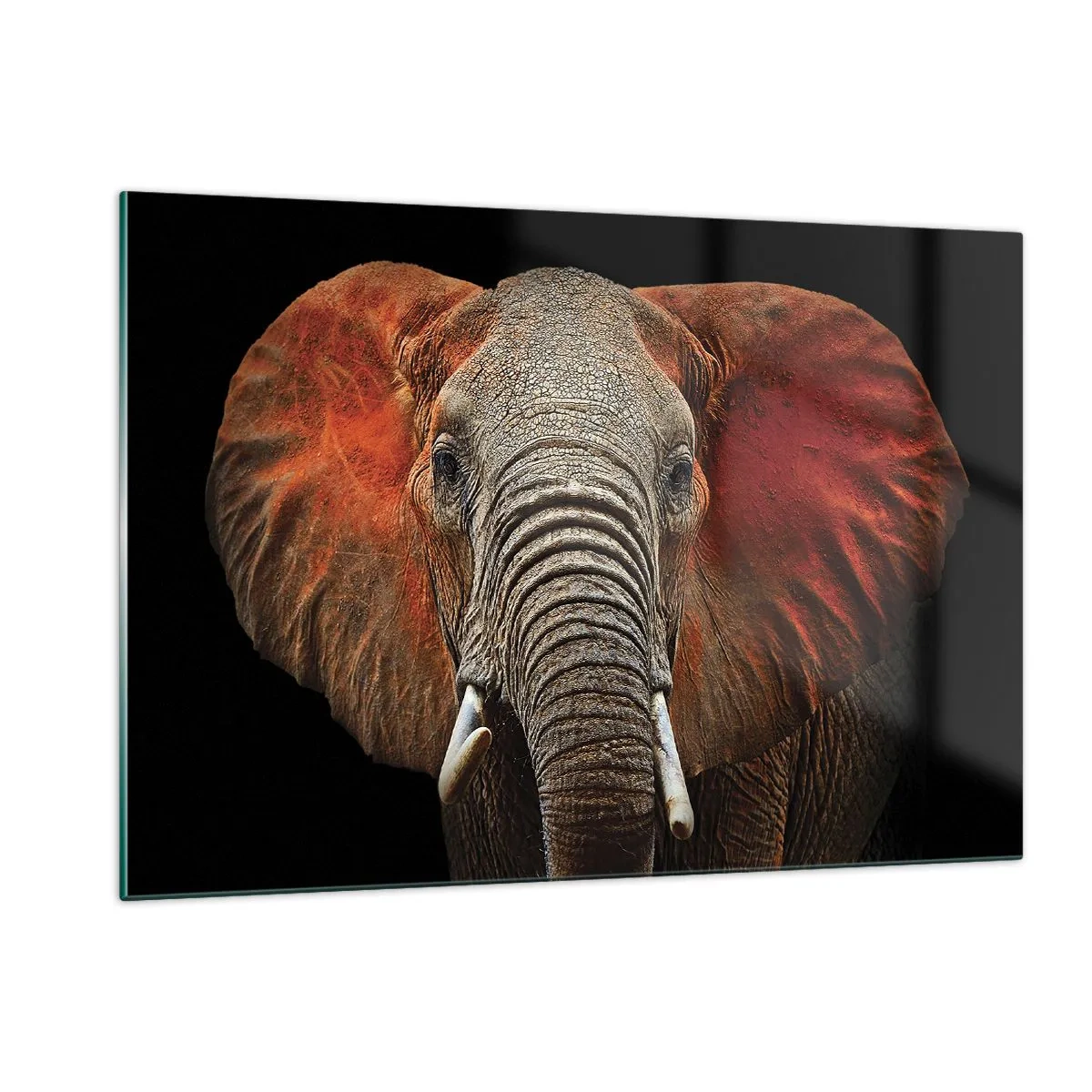 Obraz na skle - Jsem divoký, a ty? - 120x80 cm