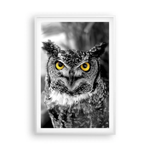 Plakát v bílém rámu - Nic se neschová - 61x91 cm