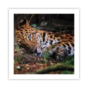 Plakát - Věř mi - 50x50 cm