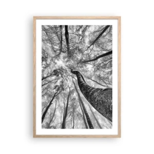 Plakát v rámu světlý dub - Závod ke světlu - 50x70 cm