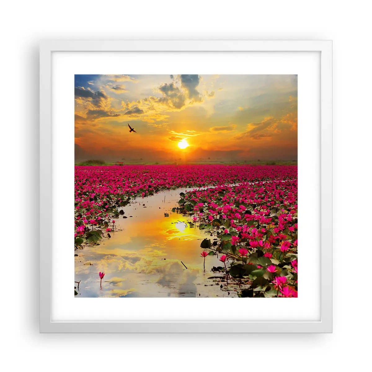 Plakát v bílém rámu - Tajemný život jezera - 40x40 cm