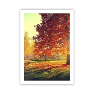 Plakát - Rudé je krásné - 50x70 cm