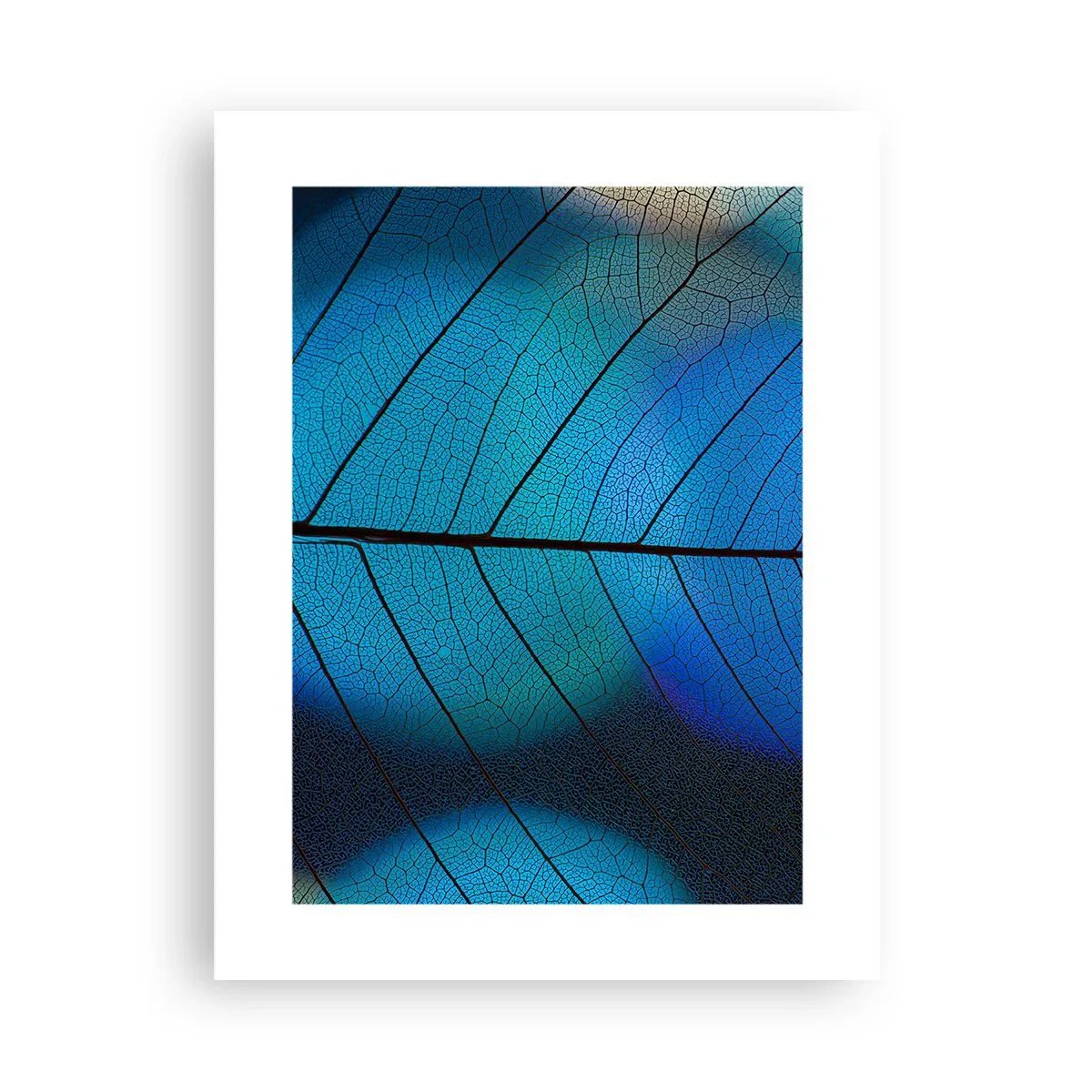 Plakát - Až do detailů - 30x40 cm