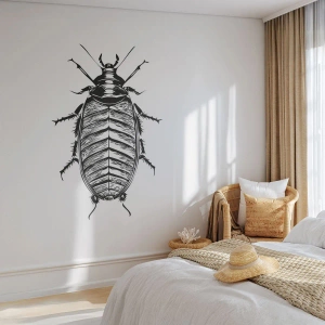 Fototapeta Premium Sand - Vzorový exemplář! - Hmyz, Šváb, Minimalismus - 350x256 cm