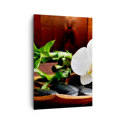 Obraz na plátně - Oddejte se doteku přírody - 70x100 cm