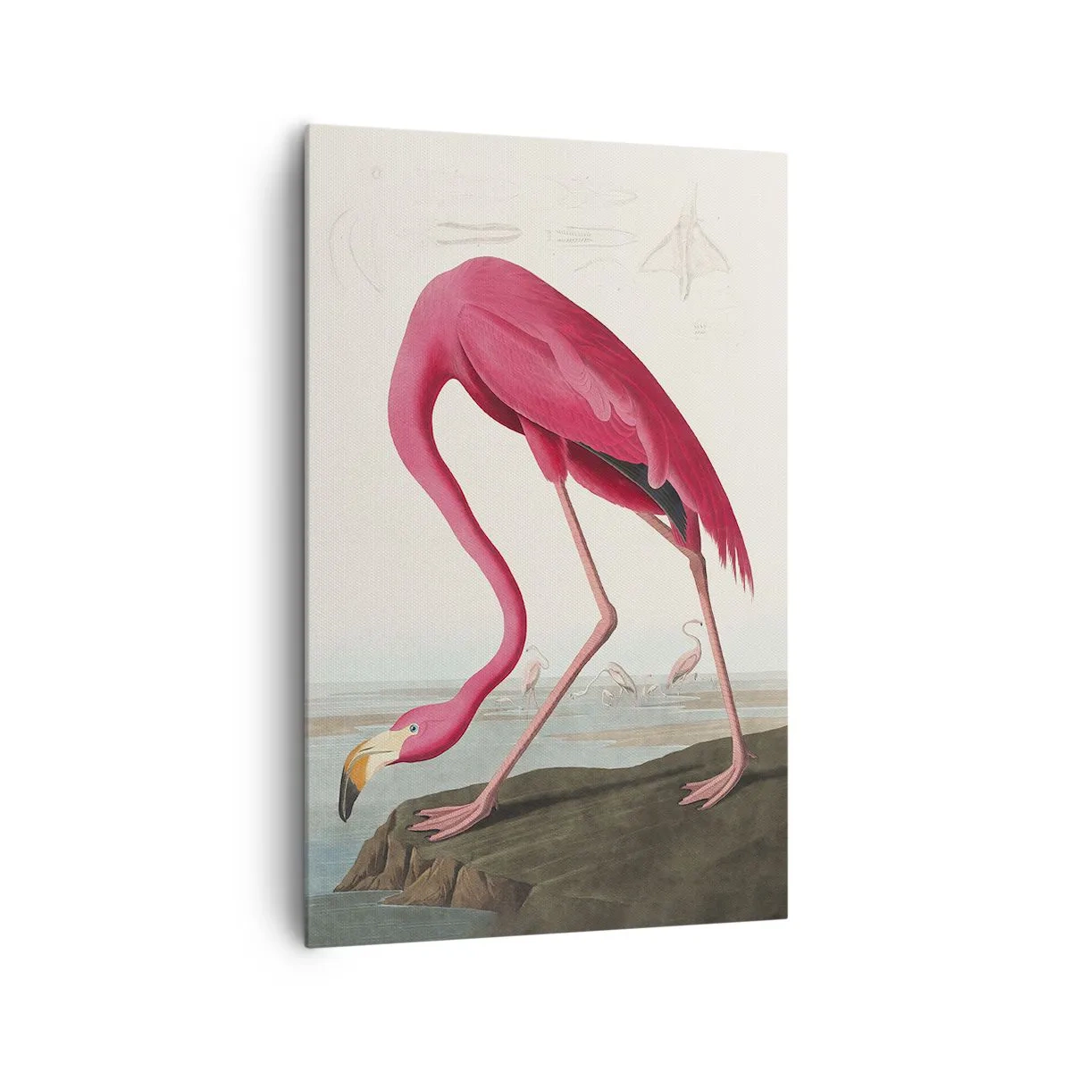 Obraz na plátně - Úžasná stvůra - 80x120 cm