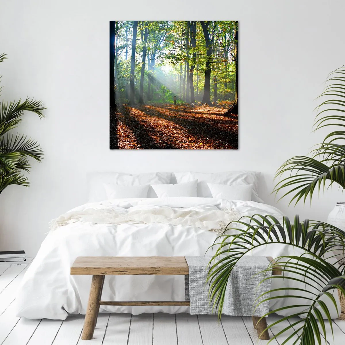 Obraz na plátně - Světla a stíny - 30x30 cm