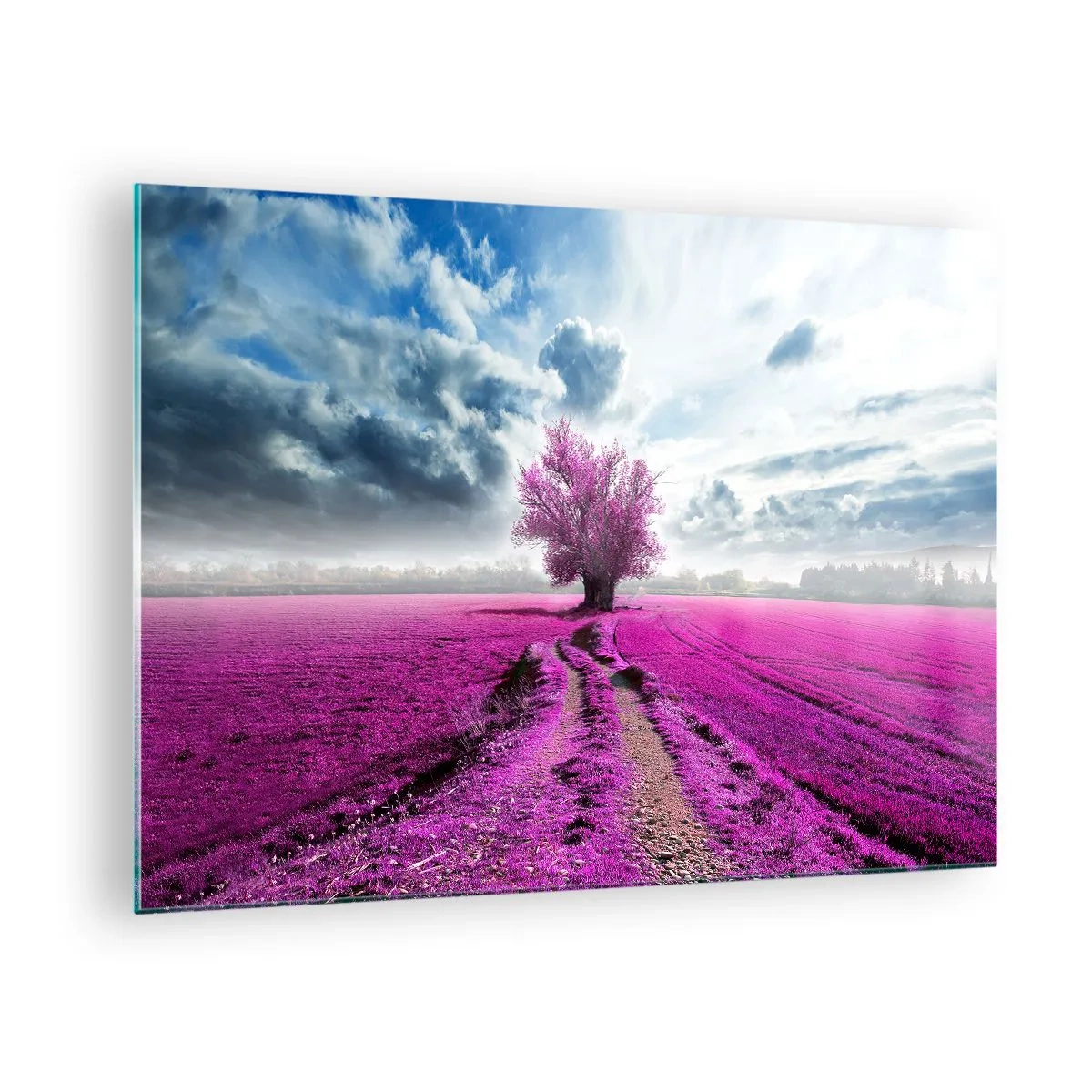 Obraz na skle - Strom v vřesovém poli pod dynamickou oblohou - 70x50cm - Vřesoviště - divočina - Moderní nástěnná dekorace do obývacího pokoje a ložnice ARTTOR