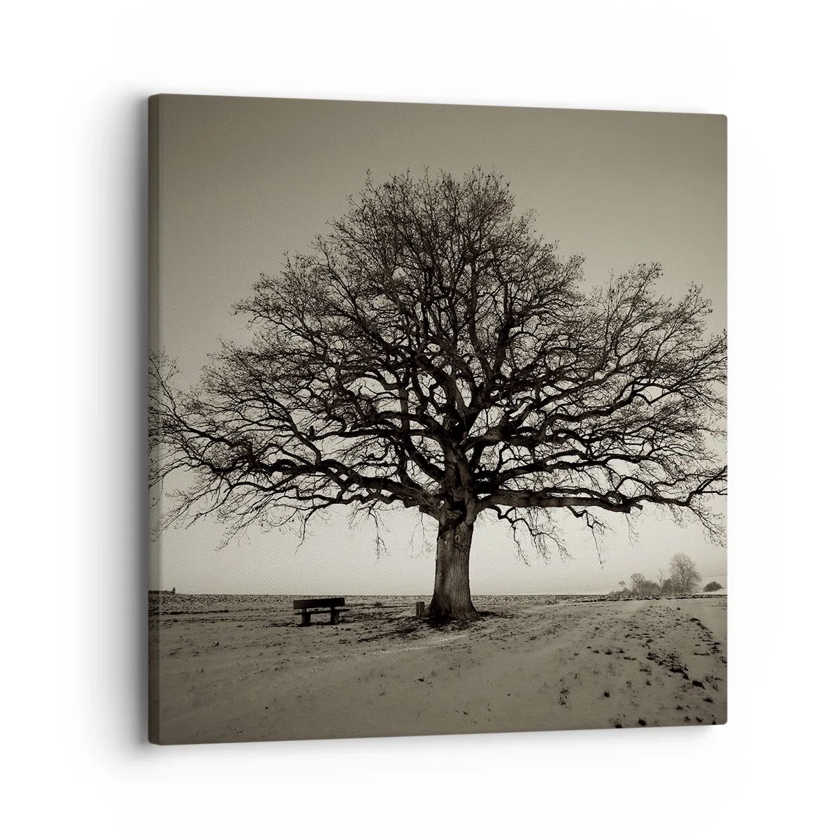 Obraz na plátně - Odtud až na věčnost - 30x30 cm