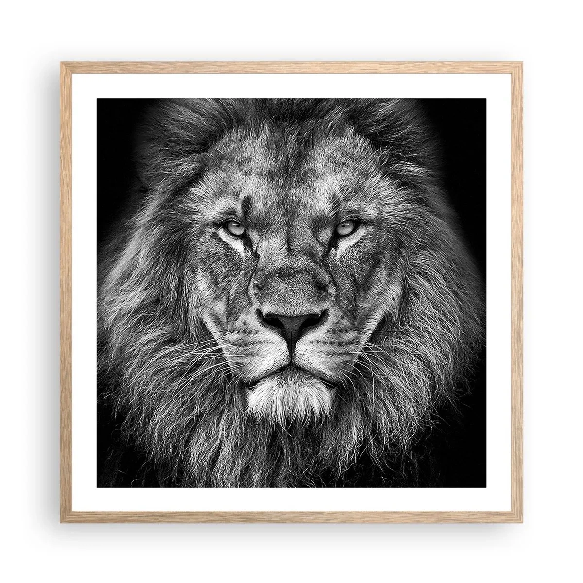 Plakát v rámu světlý dub - V korunovačním oděvu - 60x60 cm