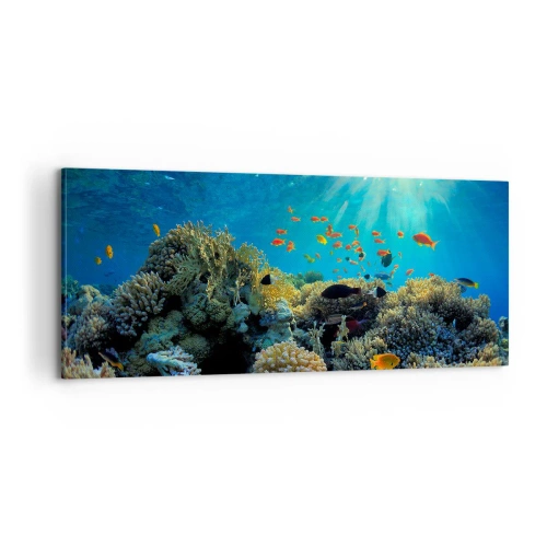 Obraz na plátně - Podvodní poklady - 100x40 cm
