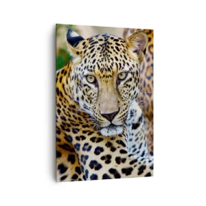 Obraz na plátně - Divoký a klidný - 70x100 cm