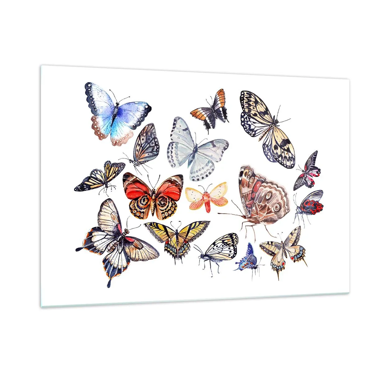 Obraz na skle - Krajkový, barevný roj - 120x80 cm