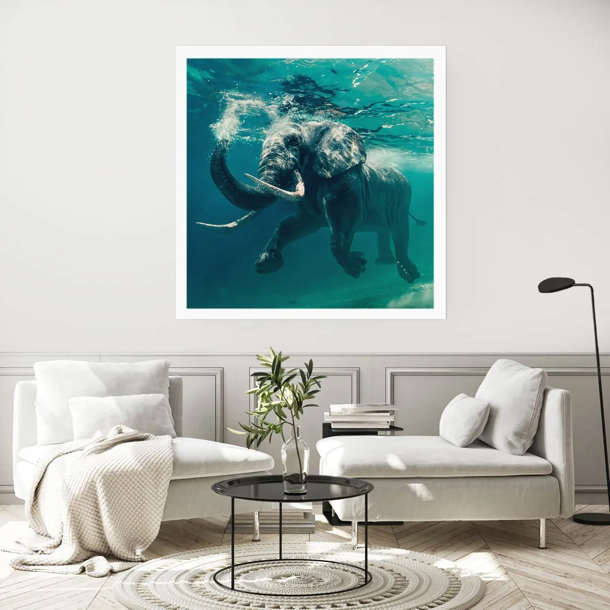 Plakát - Všichni rádi plavou - 50x50 cm