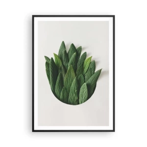 Plakát v černém rámu - Neukojitelná zvědavost - 70x100 cm