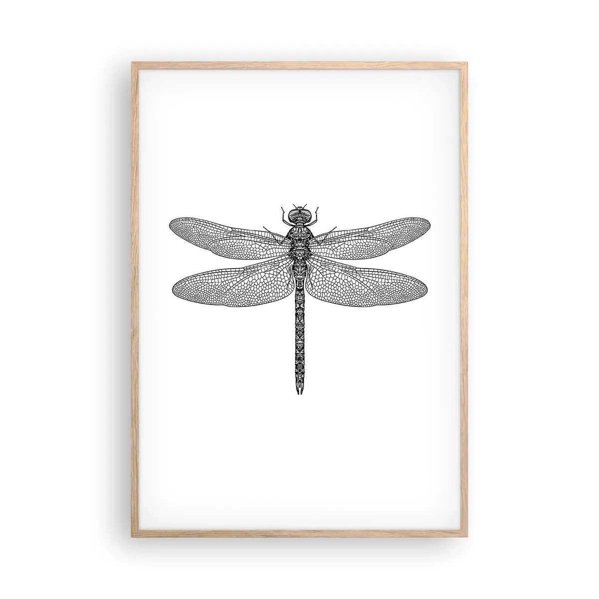 Plakát v rámu světlý dub - Přesnost přírody - 70x100 cm