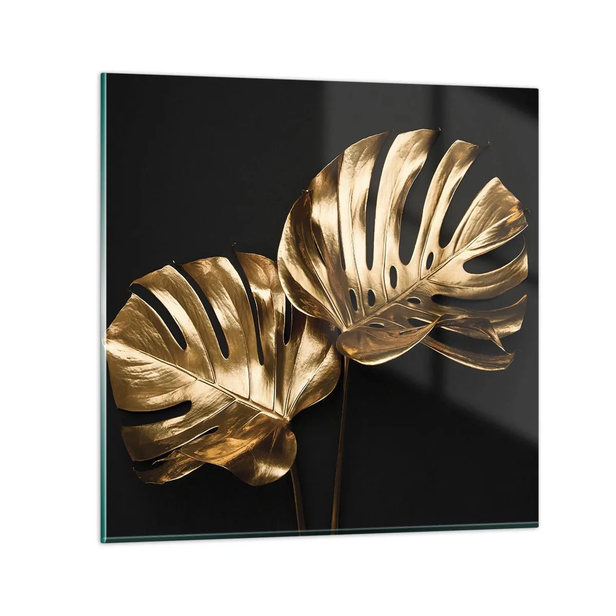 Obraz na skle - Poklady přírody - 50x50 cm