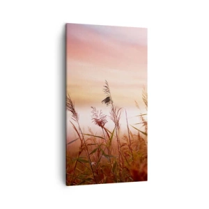 Obraz na plátně - Draci, pampelišky a vítr - 45x80 cm
