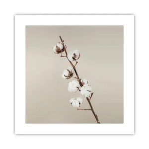 Plakát - U zdroje měkkosti - 40x40 cm