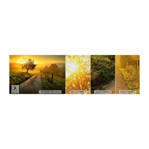 Vzor Fototapety Premium Canvas - Medové odpoledne - Krajina, Polní cesta, Louka - 100x30 cm