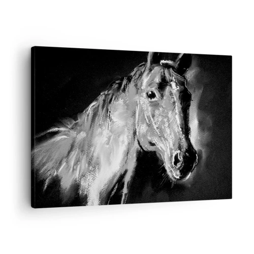 Obraz na plátně - Portrét koně v dynamickém černobílém stylu - 70x50cm - Záření vznešené duše - Moderní nástěnná dekorace do obývacího pokoje a ložnice ARTTOR