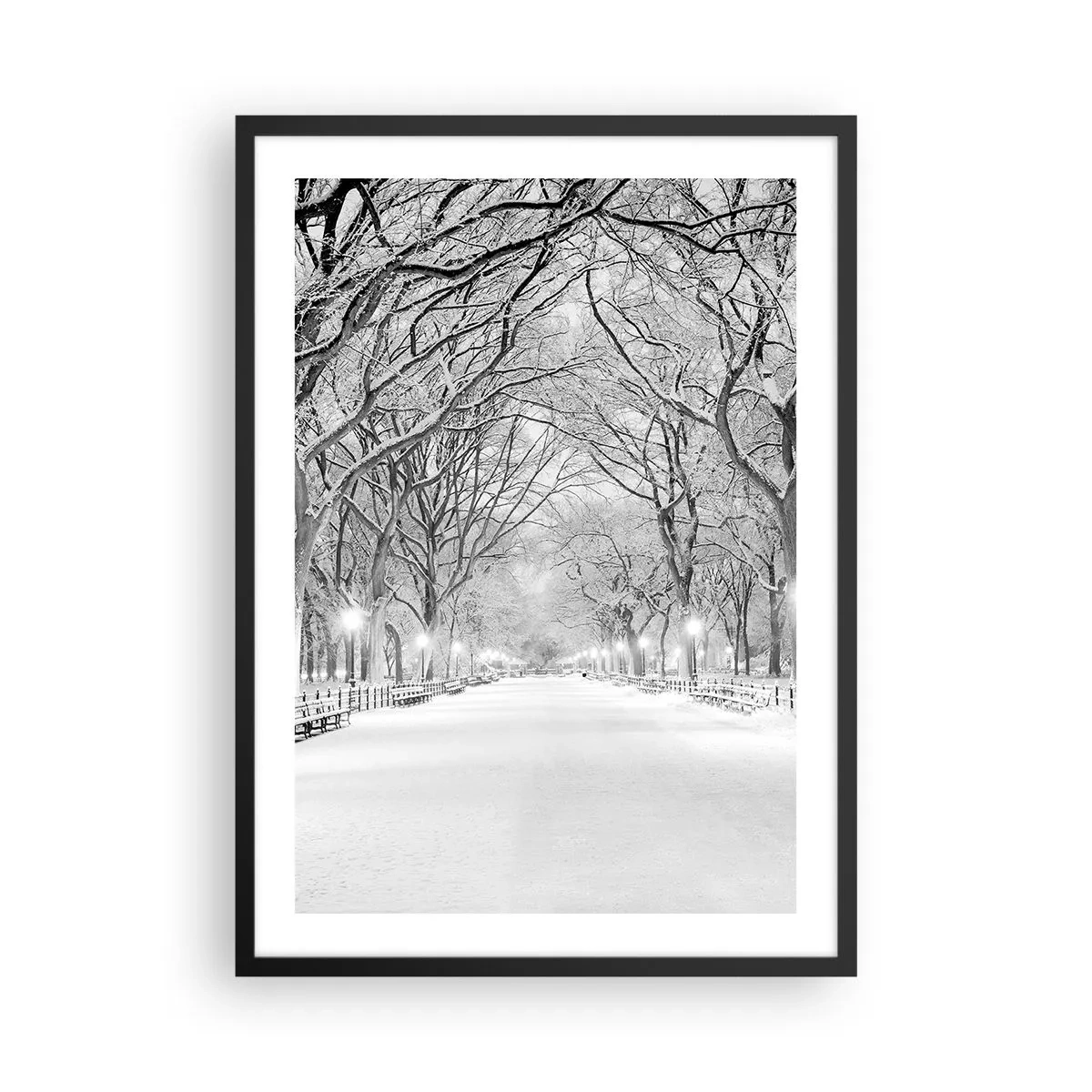 Plakát v černém rámu - Zimní alej stromů pokrytá sněhem v parku - 50x70cm - Čtyři roční období – zima - Moderní nástěnná dekorace do obývacího pokoje a ložnice ARTTOR
