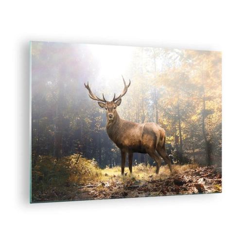 Obraz na skle - Majestátní jelen v sluncem zalitém podzimním lese - 70x50cm - Plné důstojnosti - Moderní nástěnná dekorace do obývacího pokoje a ložnice ARTTOR