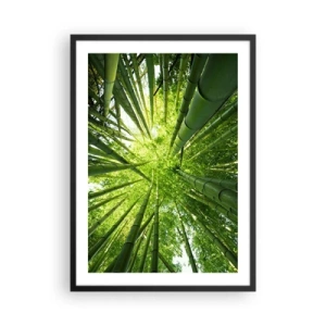 Plakát v černém rámu - Pohled do hustého bambusového lesa - 50x70cm - V bambusovém háji - Moderní nástěnná dekorace do obývacího pokoje a ložnice ARTTOR