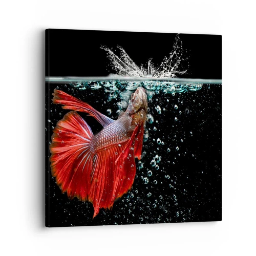 Obraz na plátně - Máš tři přání - 30x30 cm