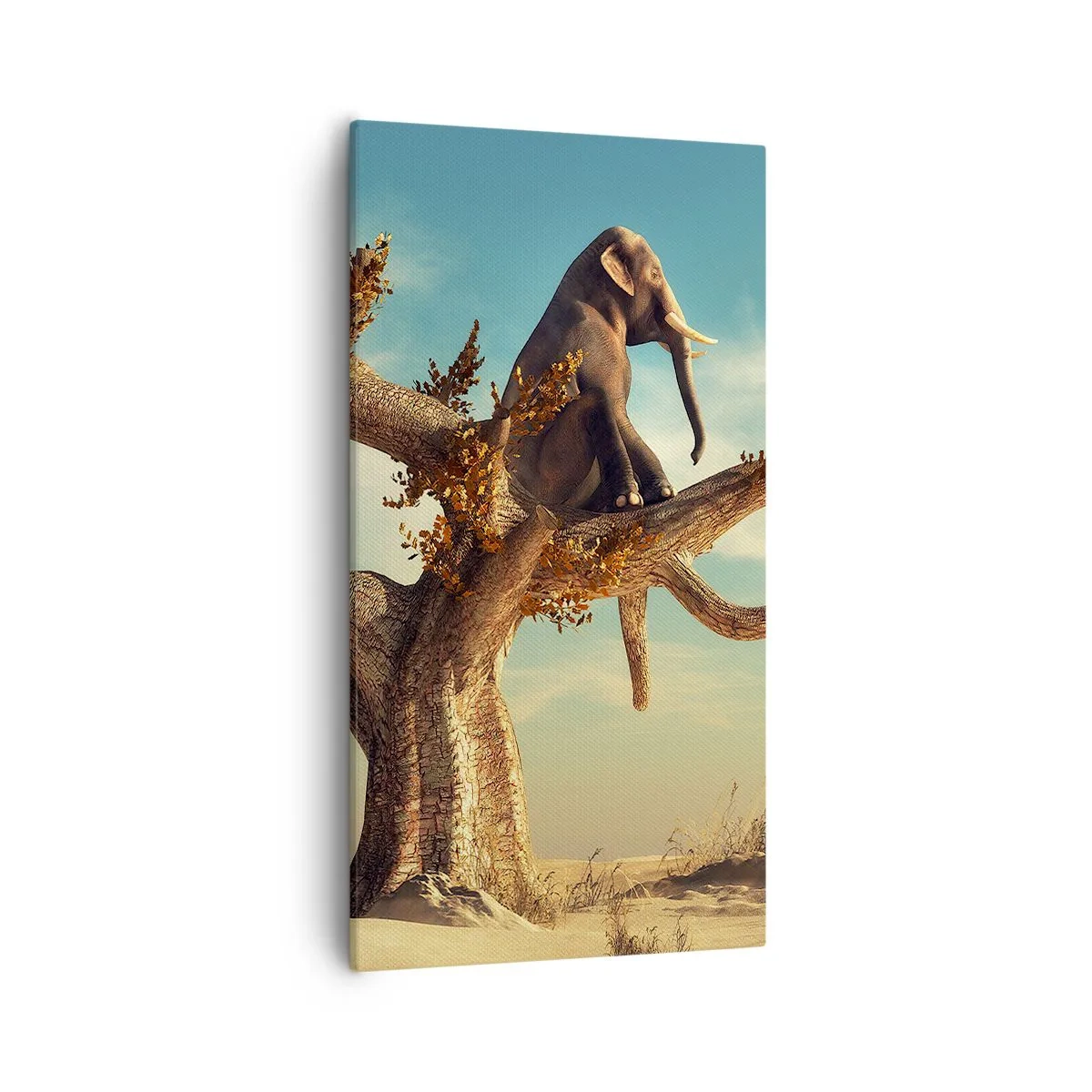 Obraz na plátně - Nový úhel pohledu - 55x100 cm