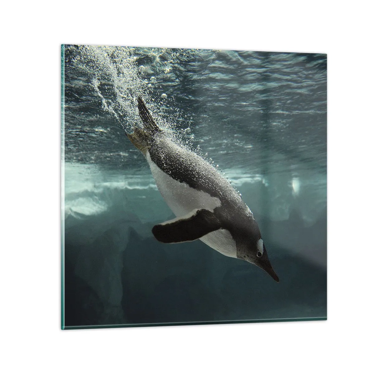 Obraz na skle - Vítejte v mém světě - 40x40 cm