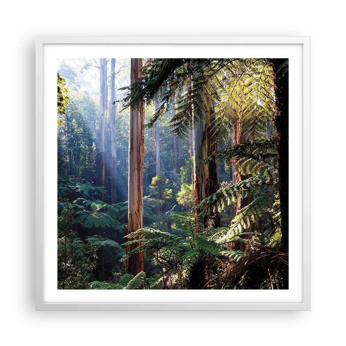 Plakát v bílém rámu - Povídka lesa - 60x60 cm