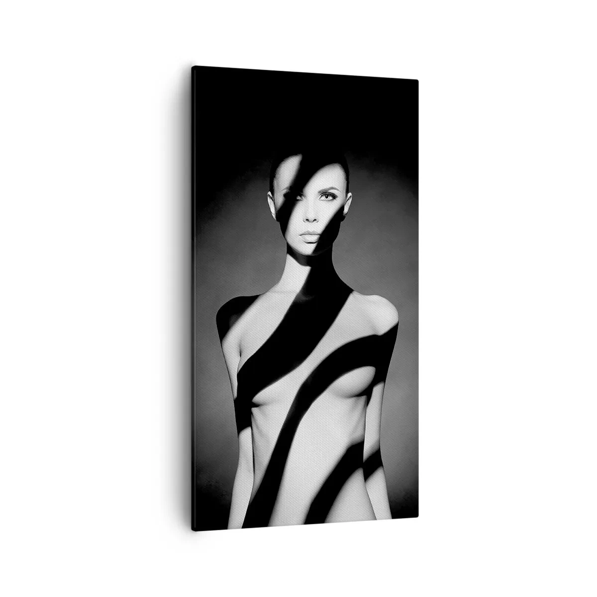 Obraz na plátně - V záři i ve stínu - 55x100 cm