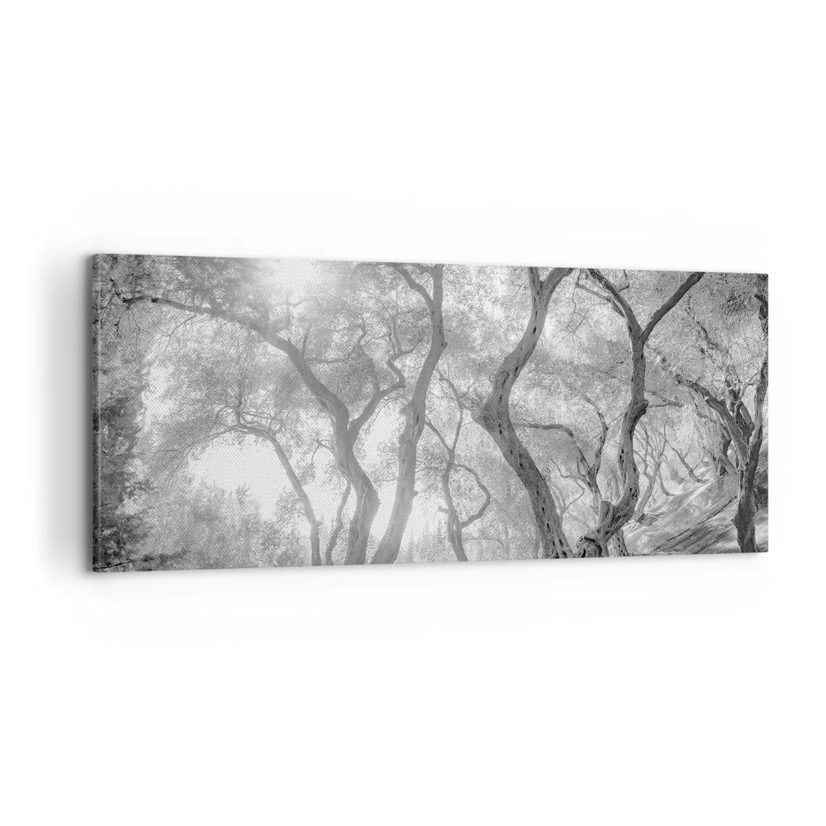 Obraz na plátně - V olivovém háji - 100x40 cm
