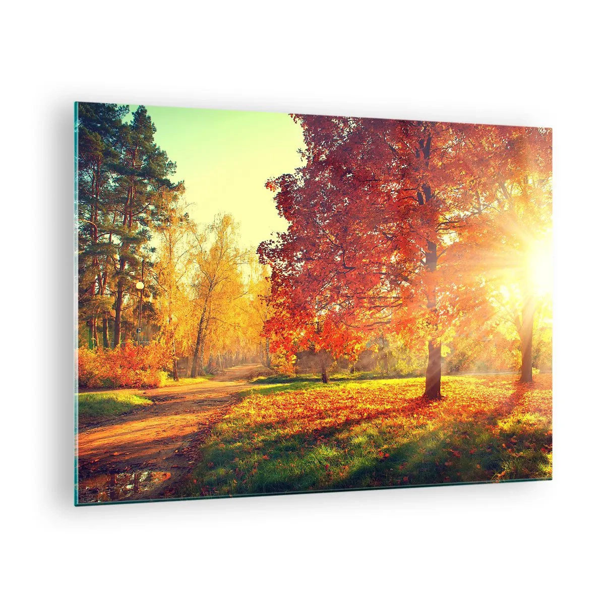 Obraz na skle - Podzimní alej se slunečními paprsky - 70x50cm - Rudé je krásné - Moderní nástěnná dekorace do obývacího pokoje a ložnice ARTTOR