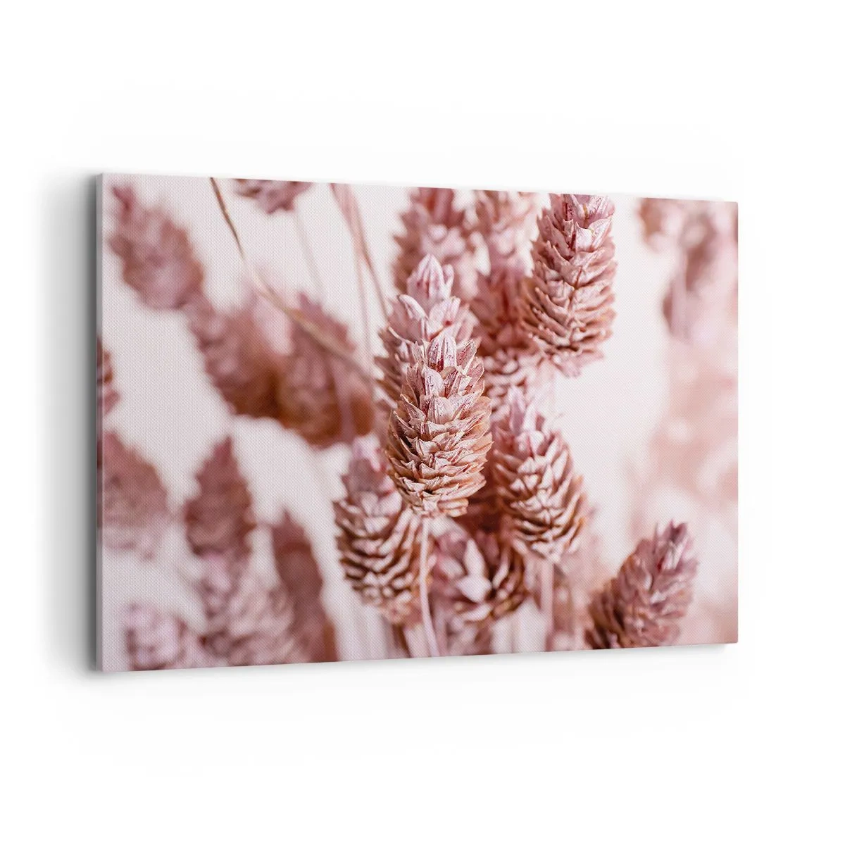 Obraz na plátně - Zdánlivě nenápadné - 100x70 cm