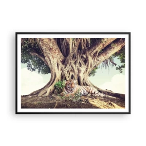 Plakát v černém rámu - Pohled z knihy Mojžíšovy - 100x70 cm