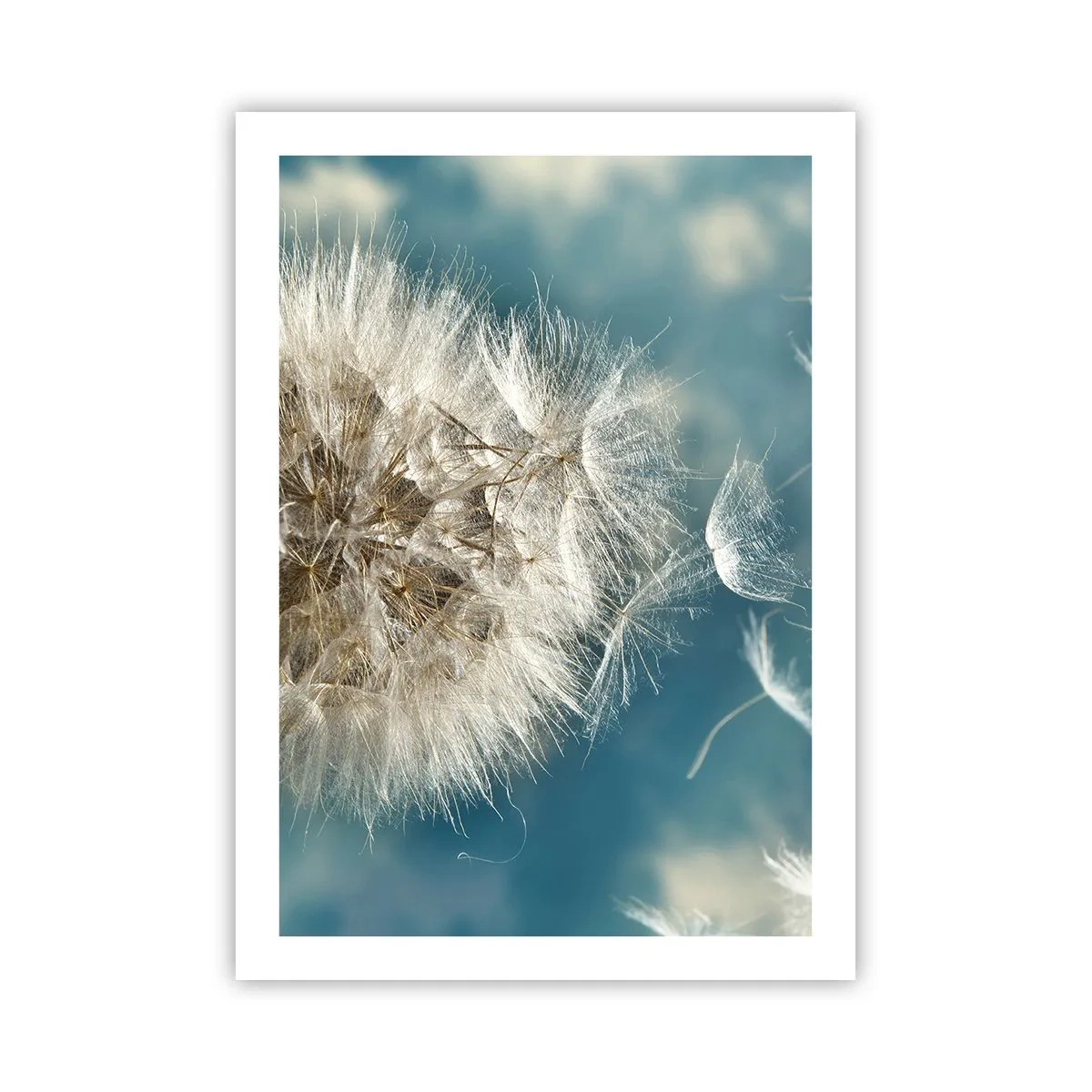 Plakát - Dech anděla - 50x70 cm