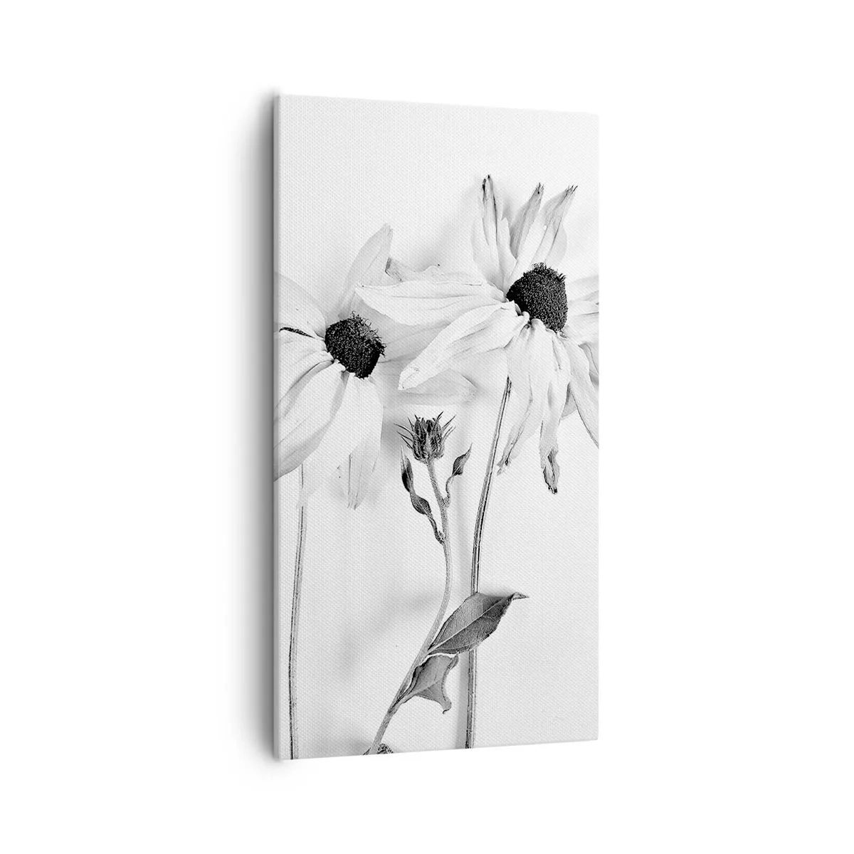 Obraz na plátně - Nikdo nechce být sám - 55x100 cm