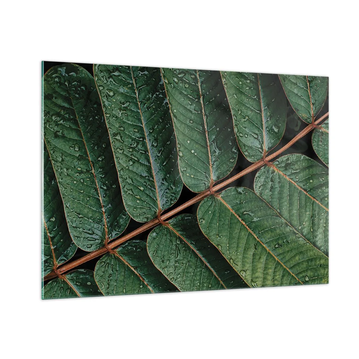 Obraz na skle - V zeleném rytmu - 100x70 cm