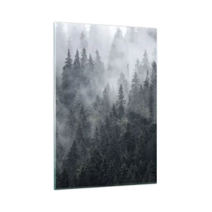 Obraz na skle - Lesní svítání - 80x120 cm