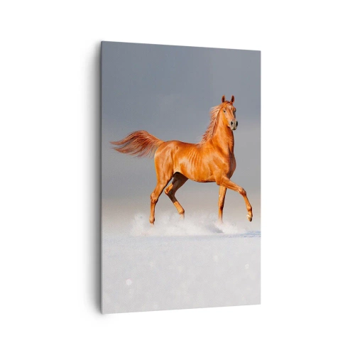 Obraz na plátně - Tančící elegance - 80x120 cm