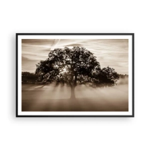 Plakát v černém rámu - Strom zpráv samotného dobra - 100x70 cm