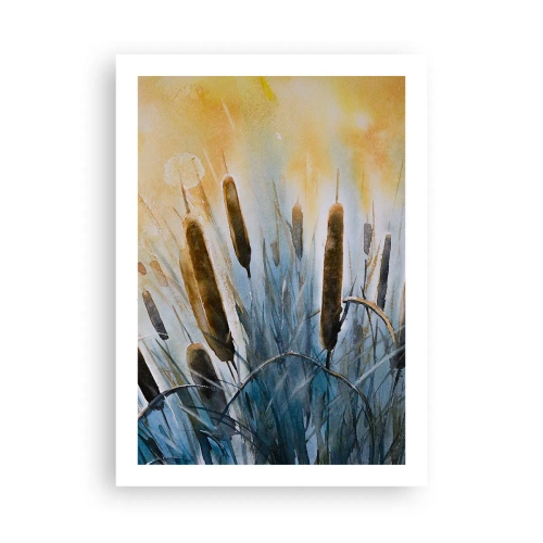 Plakát - Chlad vody, žár slunce - 50x70 cm